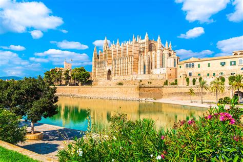 lutron palma de majorca